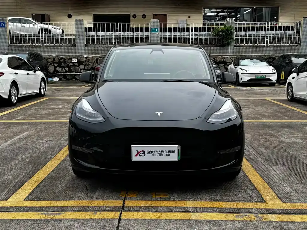 Tesla Model Y — фото 8