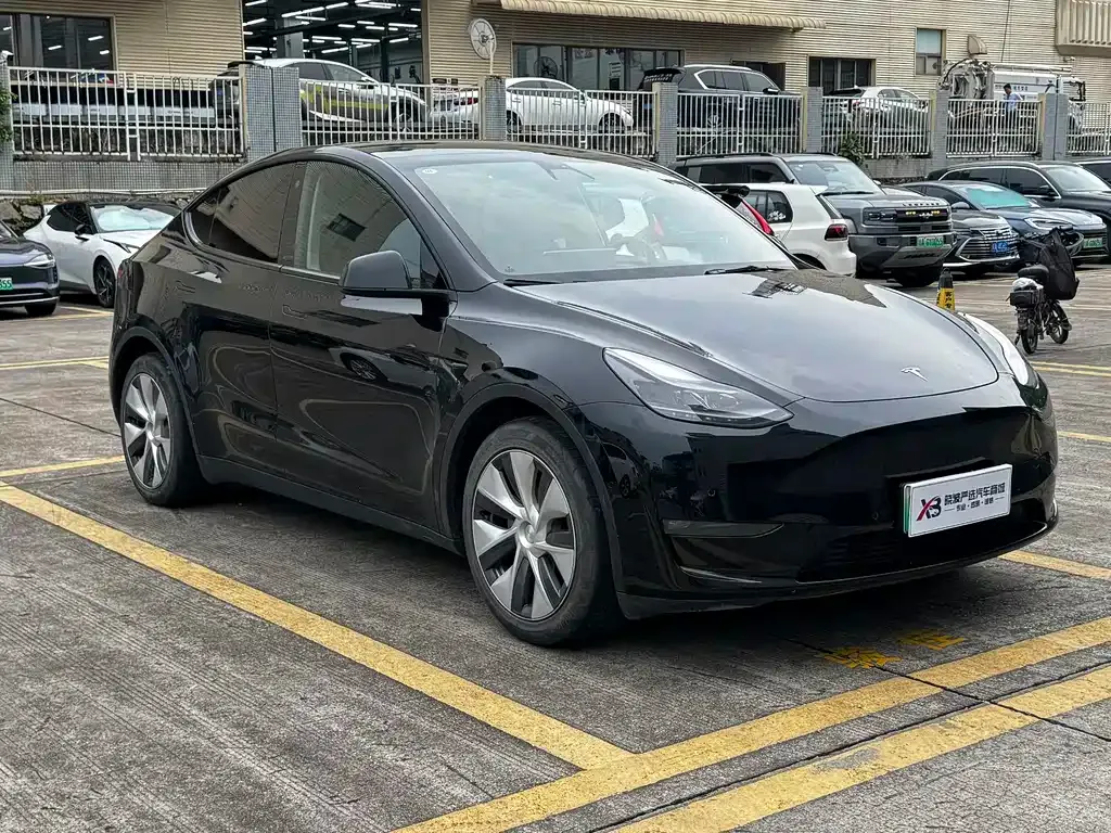 Tesla Model Y — фото 10