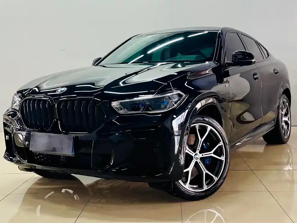 BMW X6 — фото 5