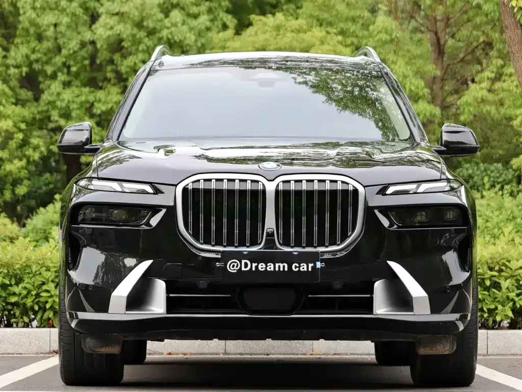 BMW X7 — фото 4