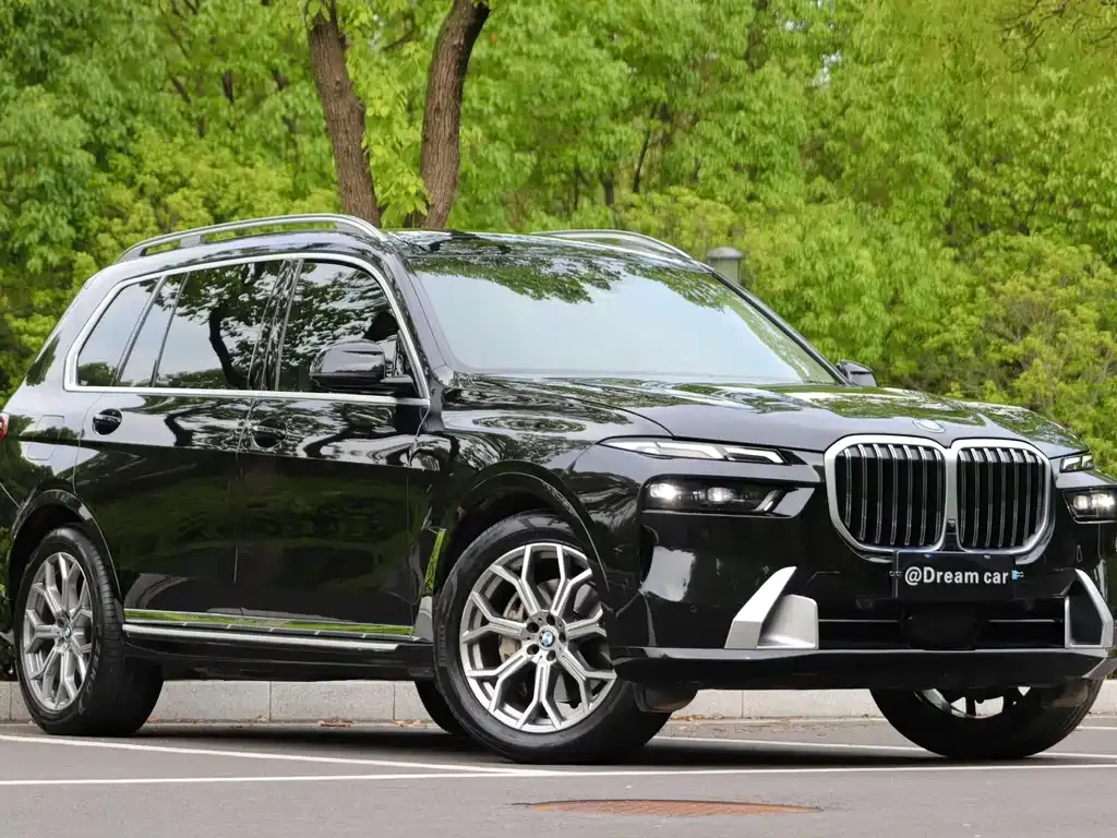 BMW X7 — фото 9