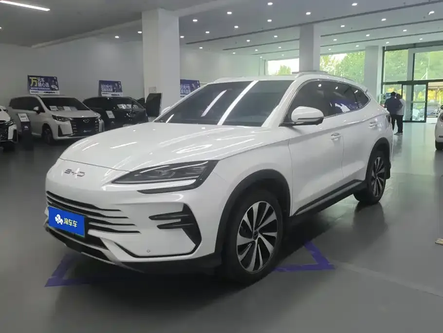 BYD PLUS New Energy — фото 1