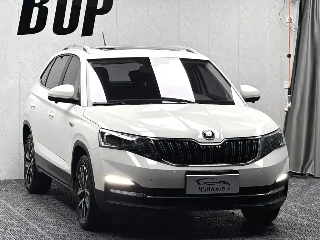 Skoda Kamiq — фото 6