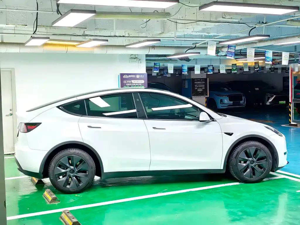 Tesla Model Y — фото 8