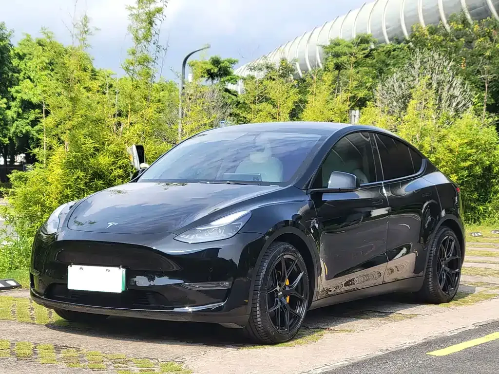 Tesla Model Y — фото 1