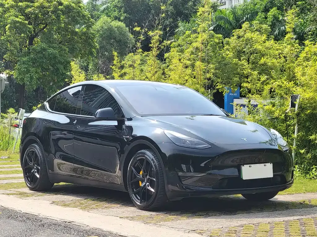 Tesla Model Y — фото 9