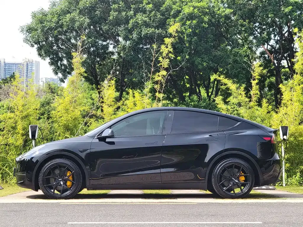Tesla Model Y — фото 10