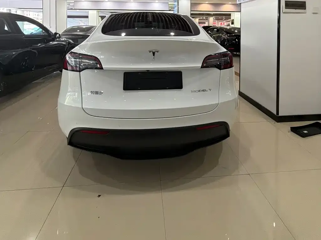 Tesla Model Y — фото 3