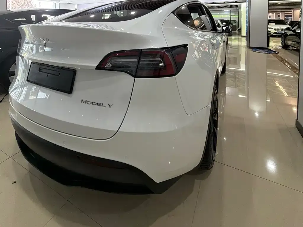 Tesla Model Y — фото 2