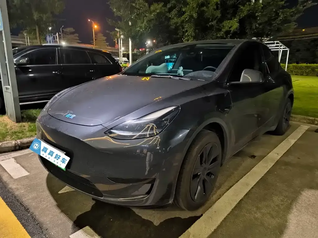 Tesla Model Y — фото 1