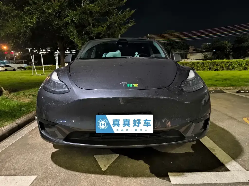 Tesla Model Y — фото 5