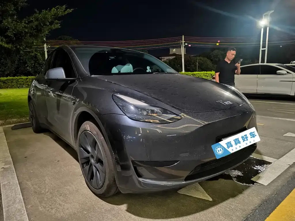 Tesla Model Y — фото 8