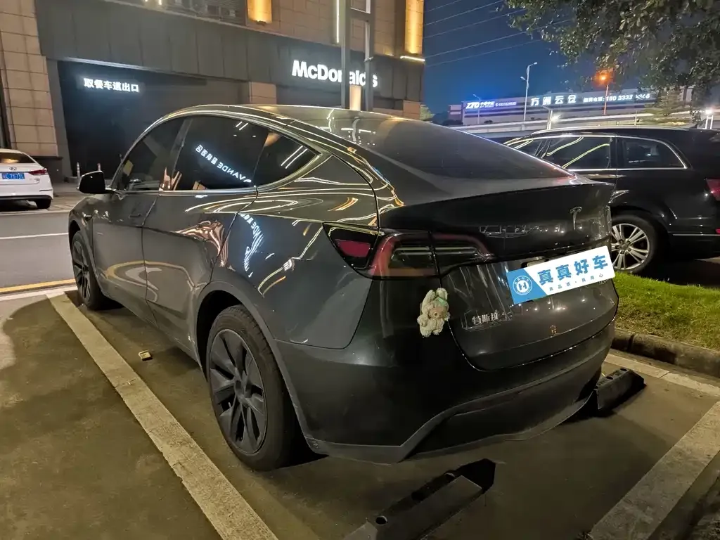 Tesla Model Y — фото 2