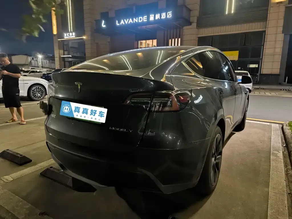 Tesla Model Y — фото 3