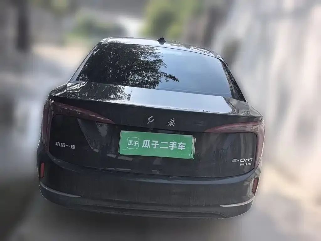 Hongqi E-QM5 — фото 6
