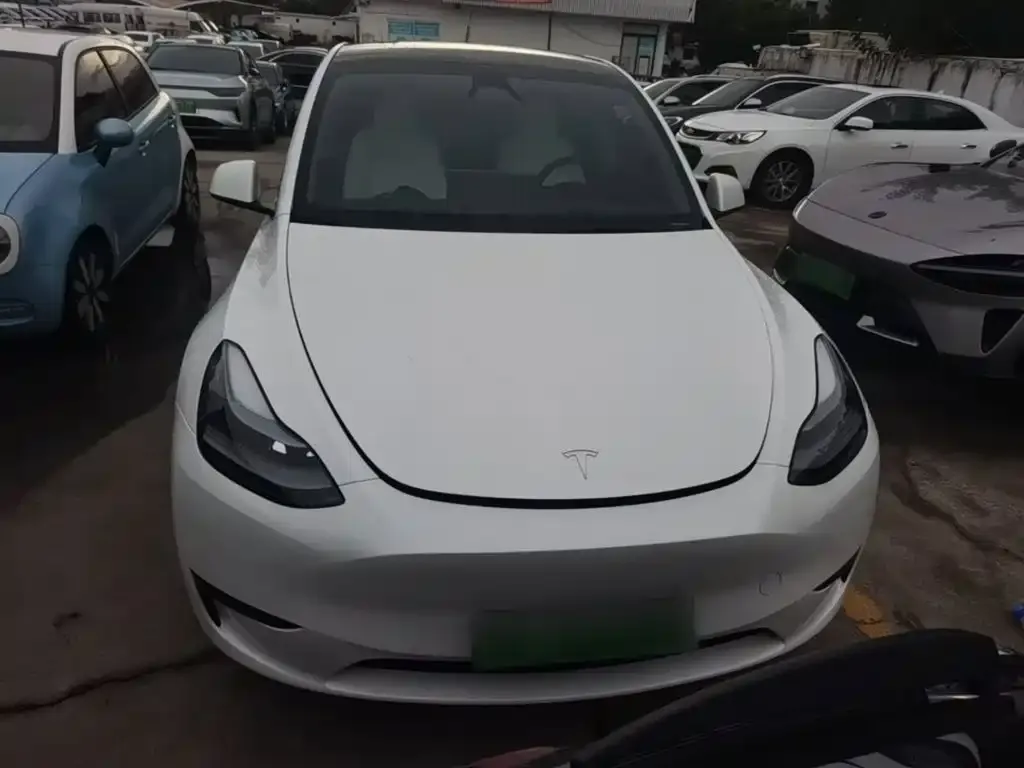 Tesla Model Y — фото 3