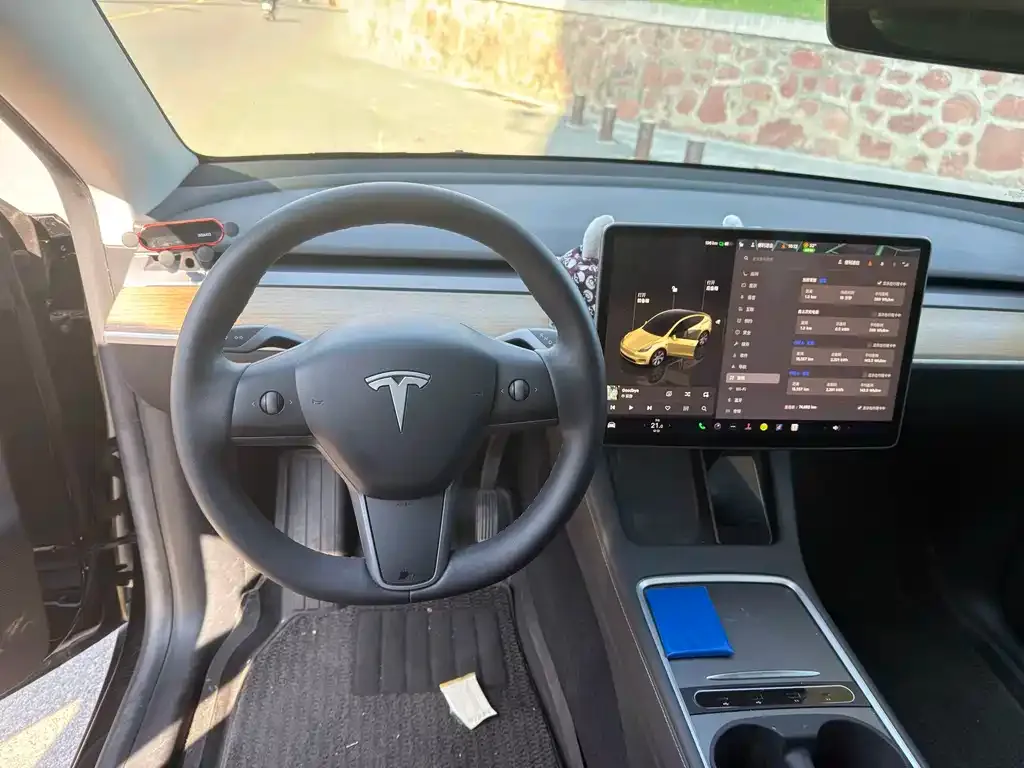 Tesla Model Y — фото 3