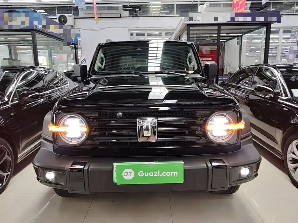 Tank 300 New Energy — фото 10