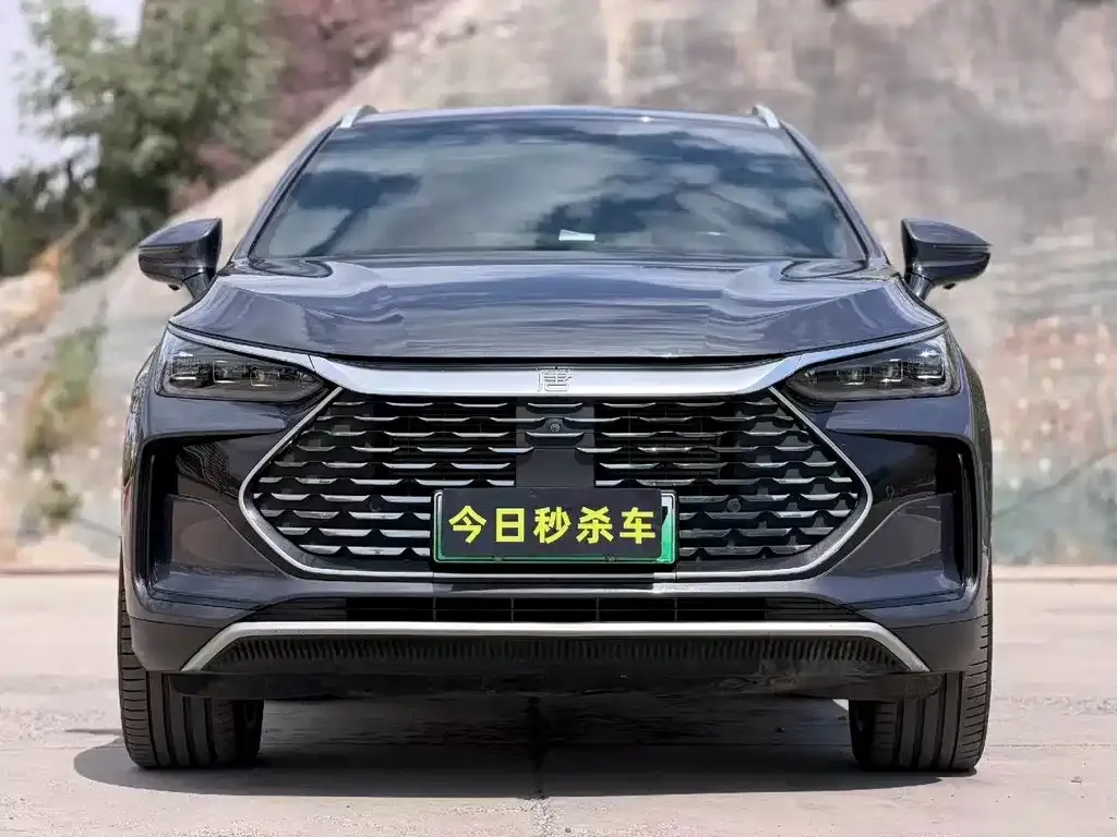 BYD Tang New Energy — фото 7