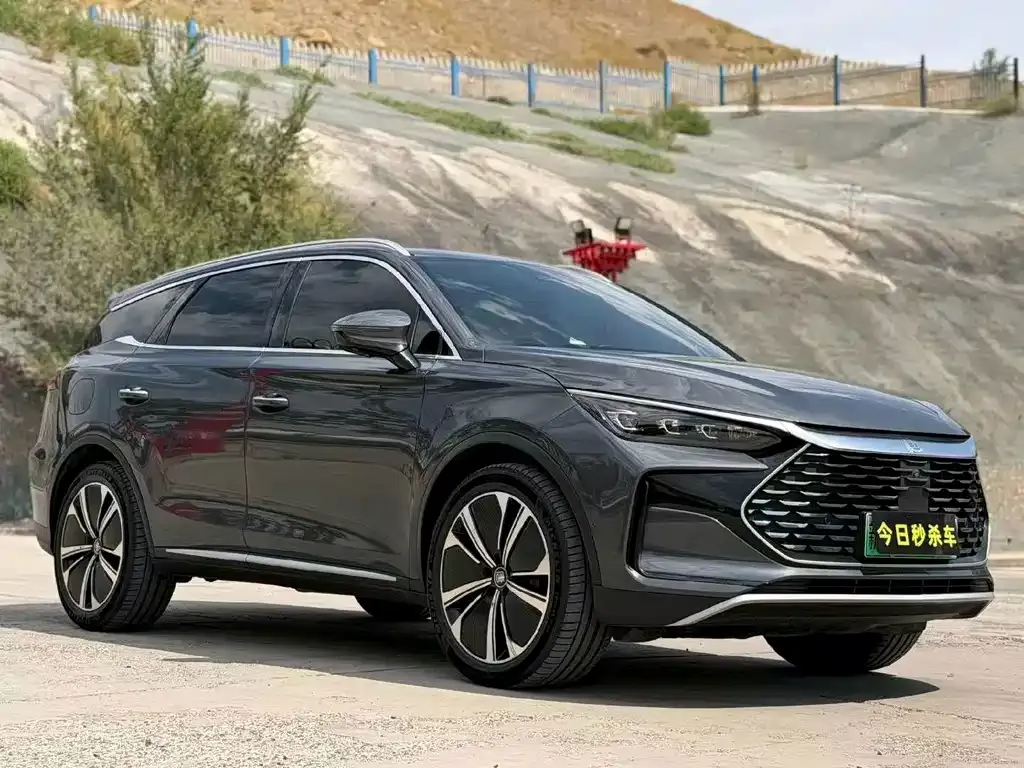 BYD Tang New Energy — фото 10