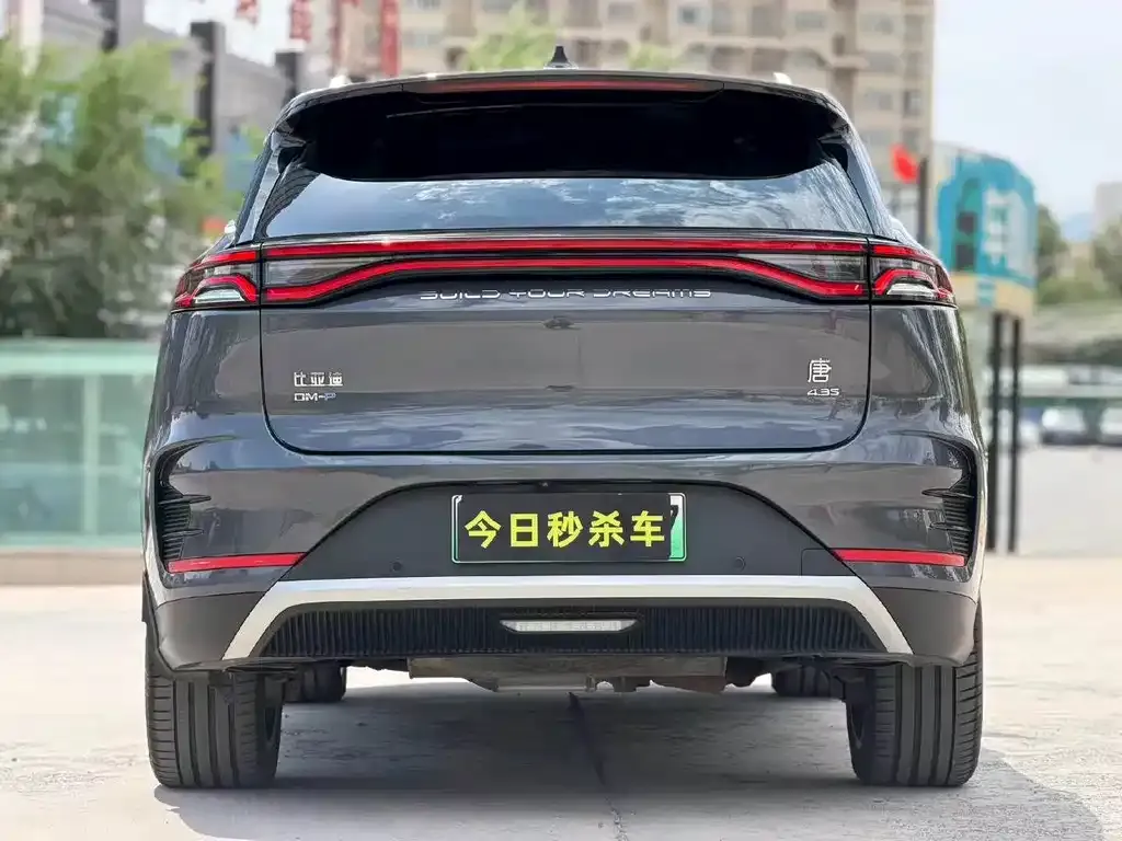 BYD Tang New Energy — фото 2