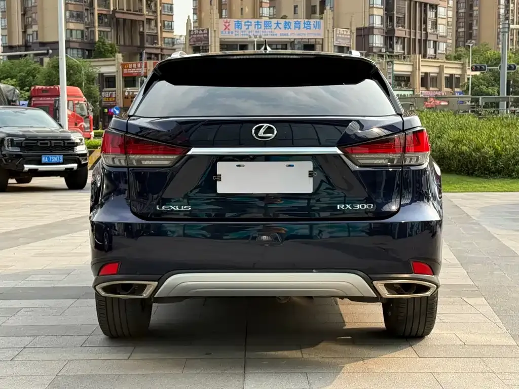 Lexus RX — фото 8