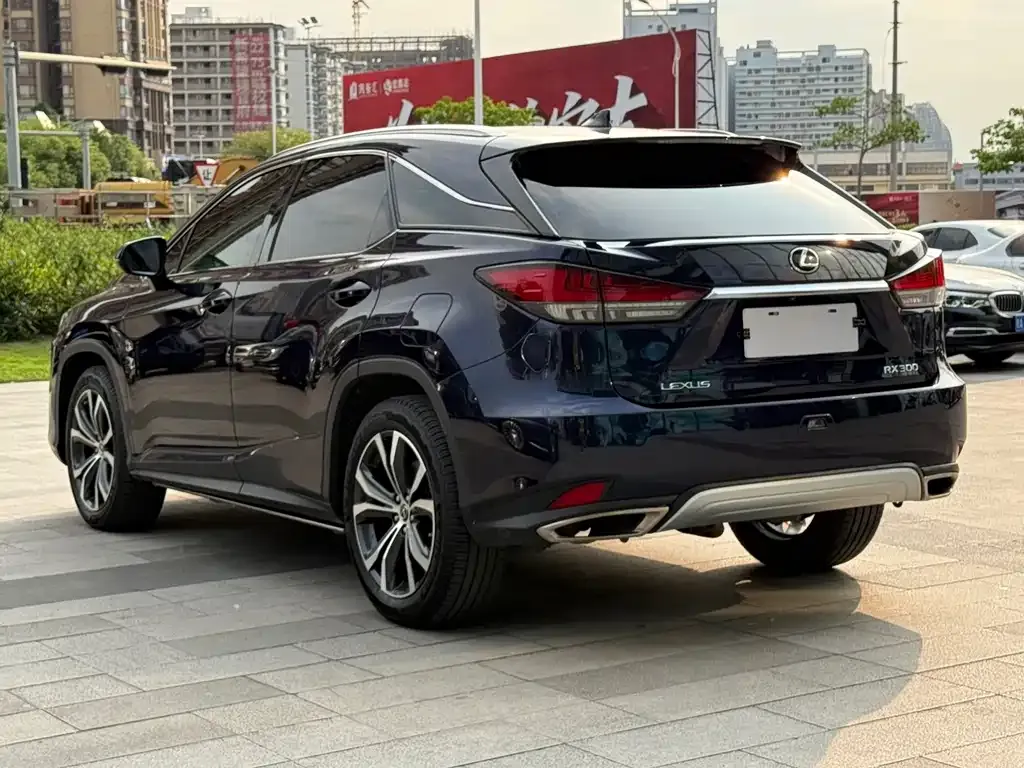 Lexus RX — фото 7