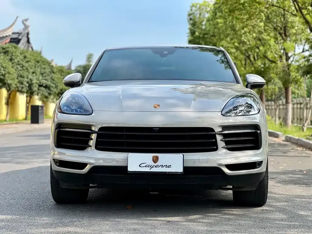 Porsche Cayenne — фото 10