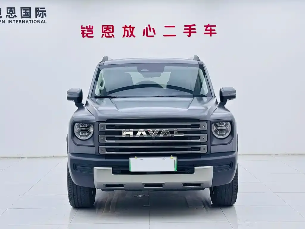Haval Menglong New Energy — фото 4