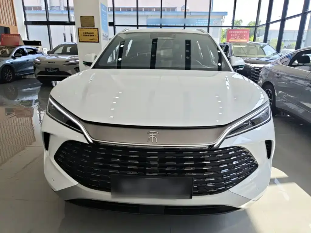 BYD L DM-i — фото 10