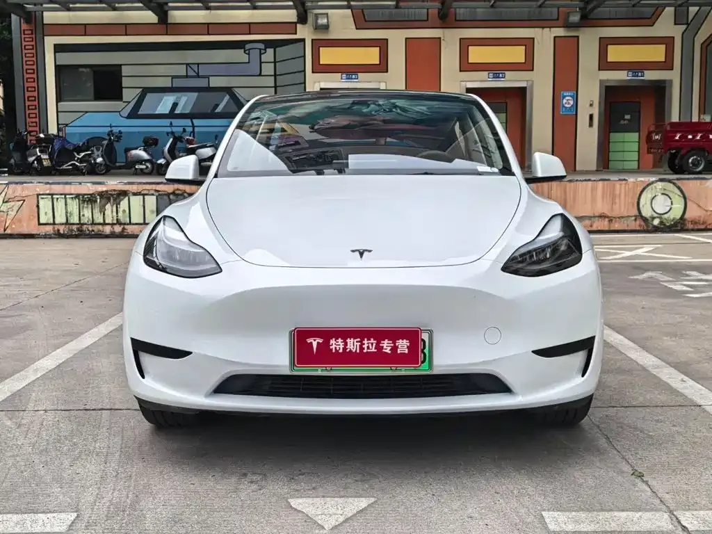 Tesla Model Y — фото 9