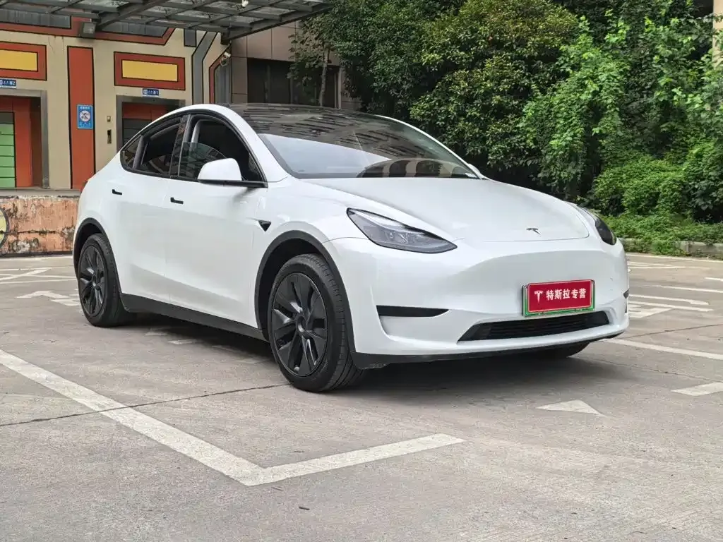 Tesla Model Y — фото 8