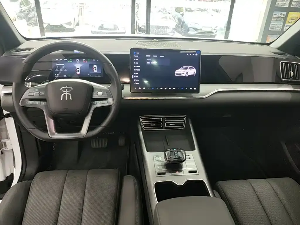 BYD Pro New Energy — фото 10