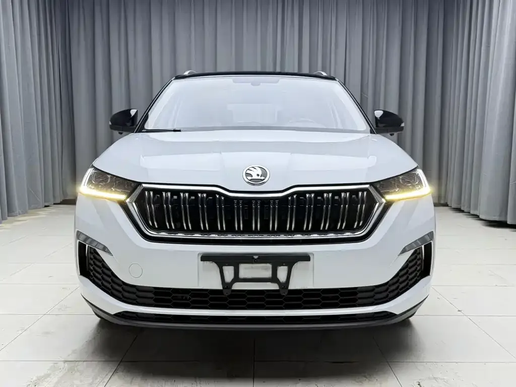 Skoda Kamiq — фото 8