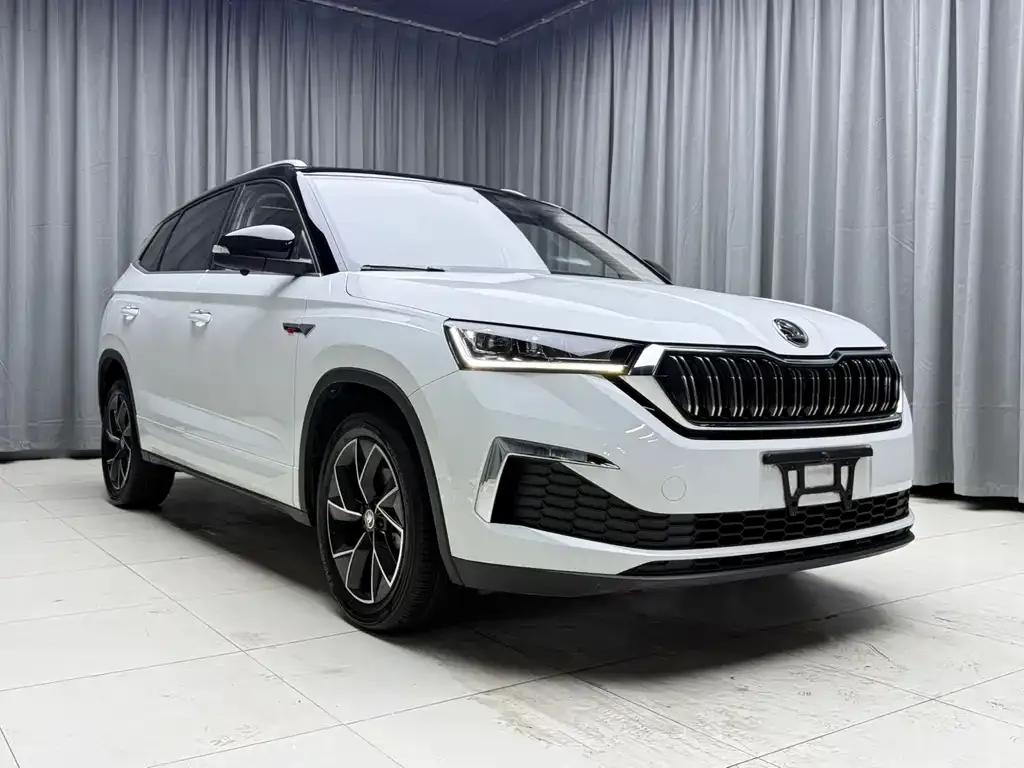 Skoda Kamiq — фото 3