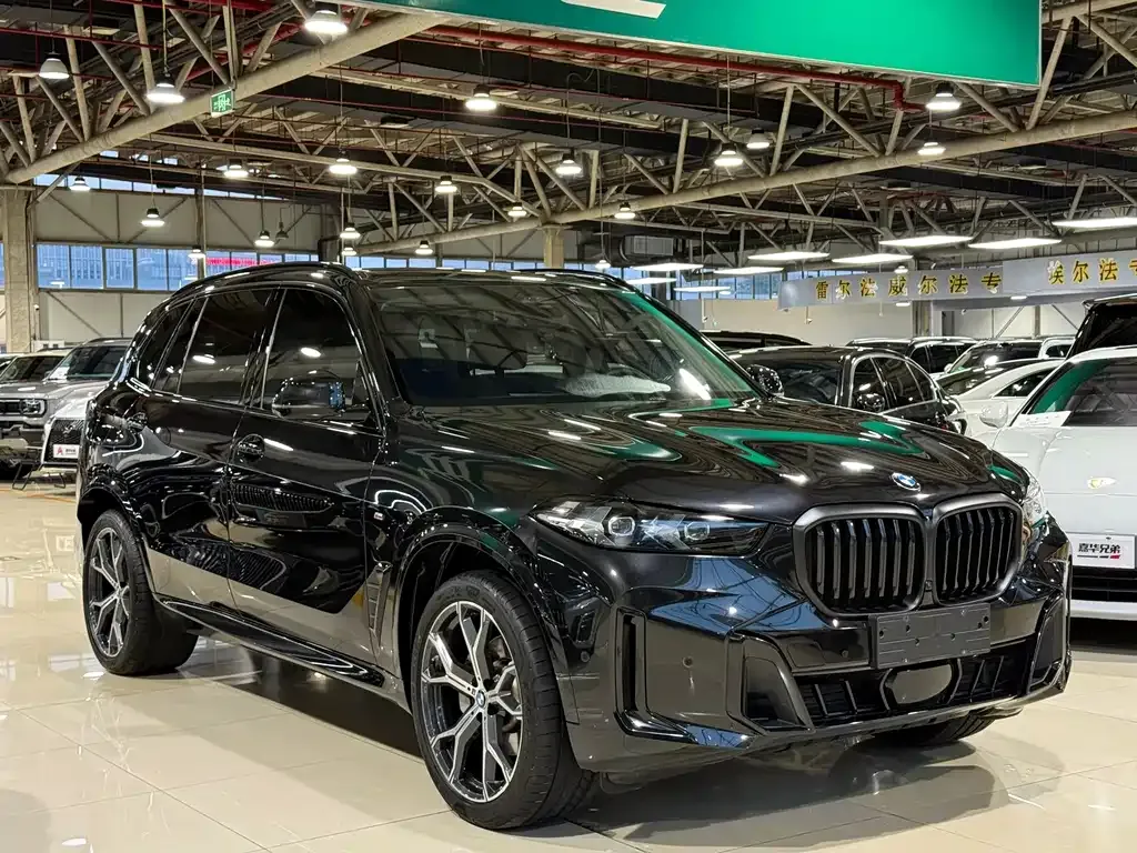 BMW X5 — фото 5