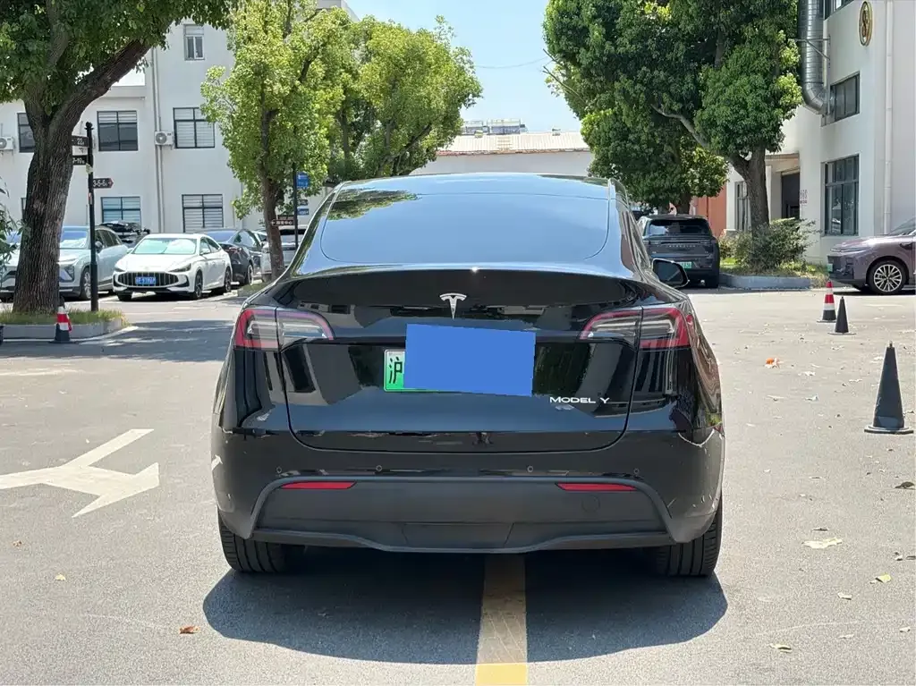 Tesla Model Y — фото 6