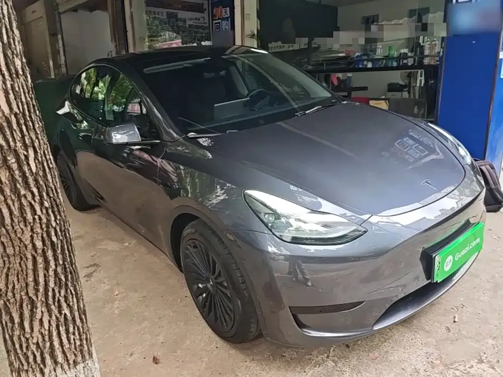 Tesla Model Y — фото 6