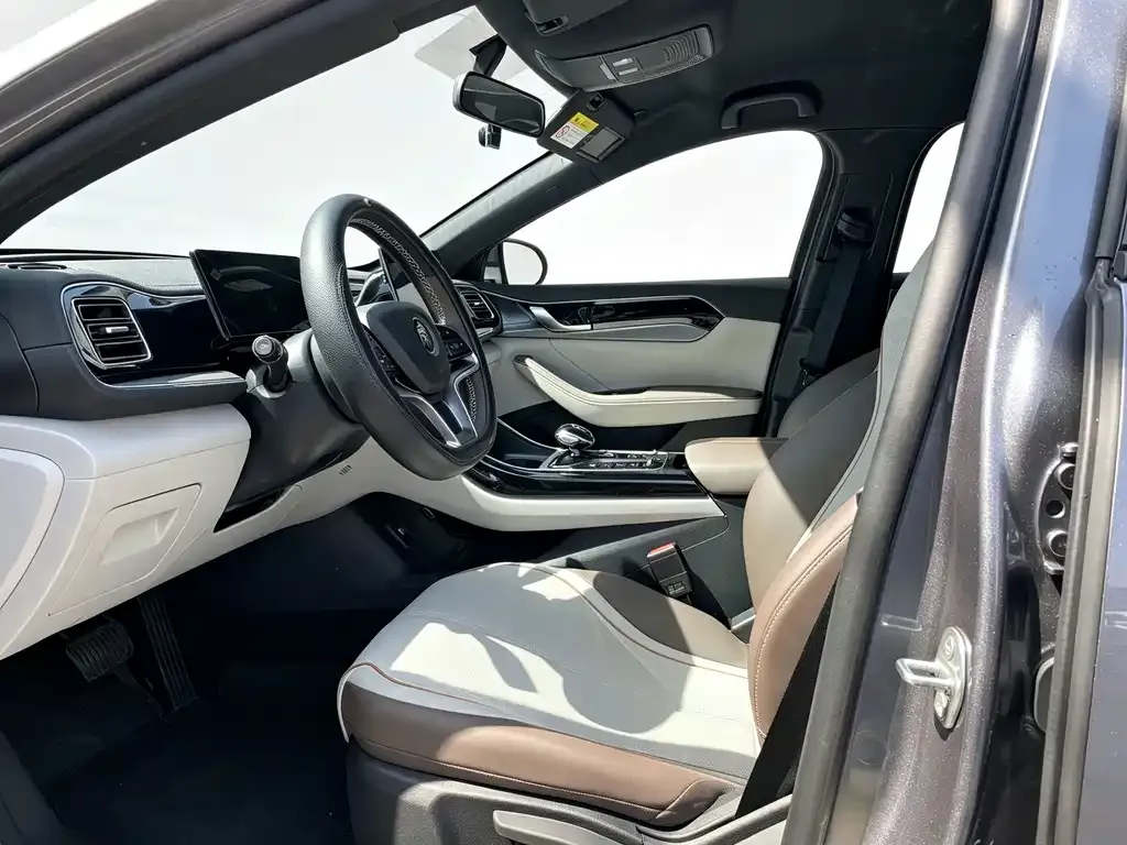BYD Qin PLUS — фото 2