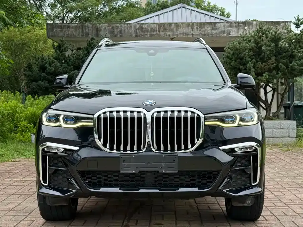 BMW X7 — фото 8