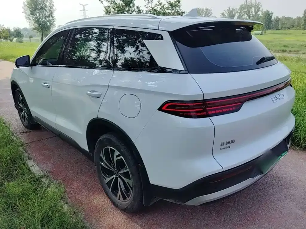 BYD Pro New Energy — фото 4