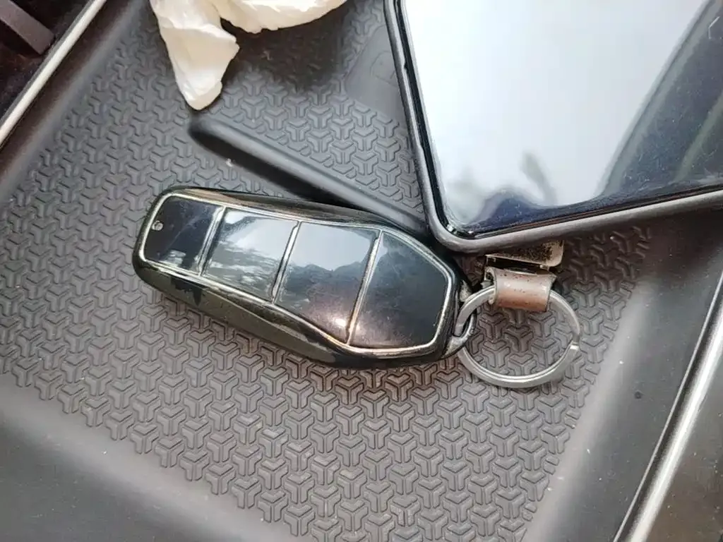 BYD Pro New Energy — фото 5