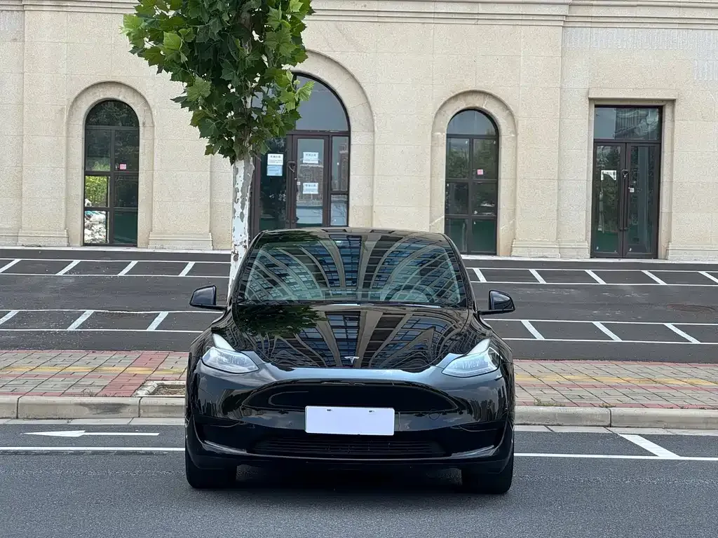 Tesla Model Y — фото 9