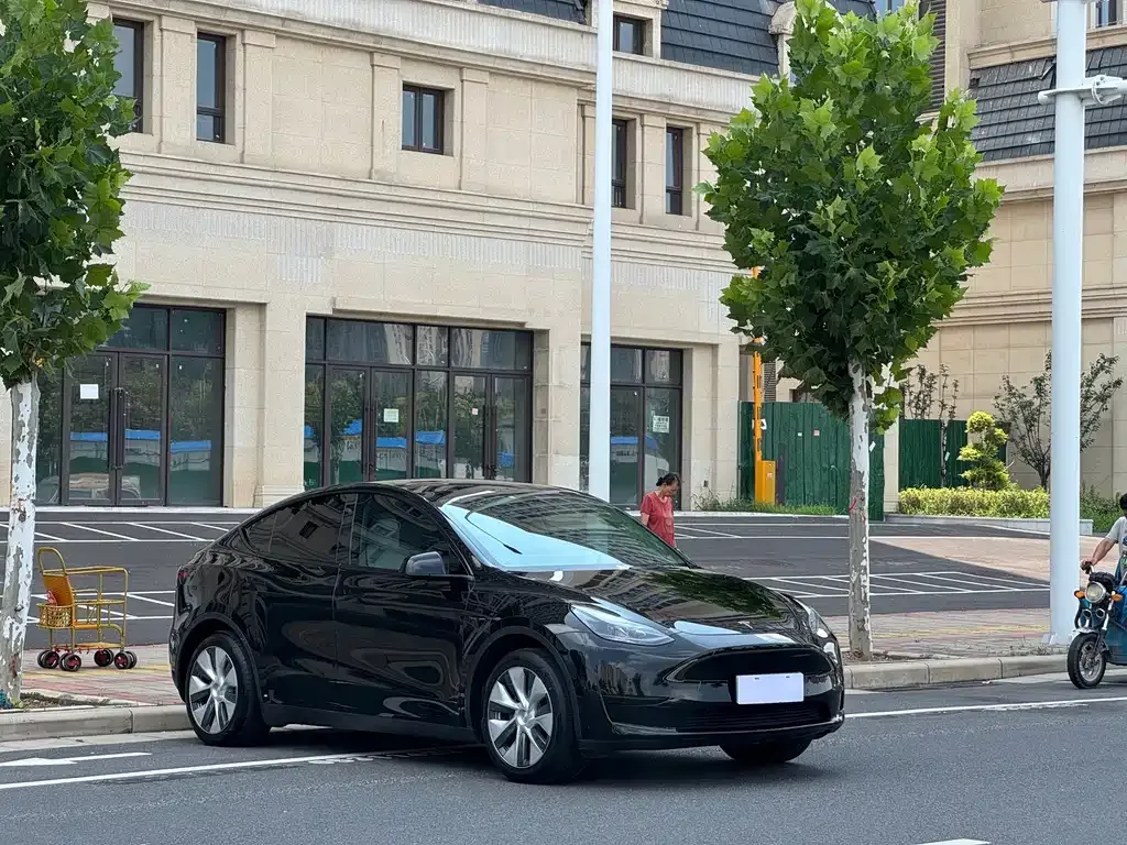 Tesla Model Y — фото 10