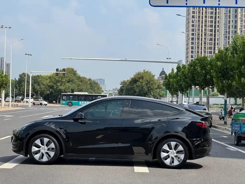 Tesla Model Y — фото 8