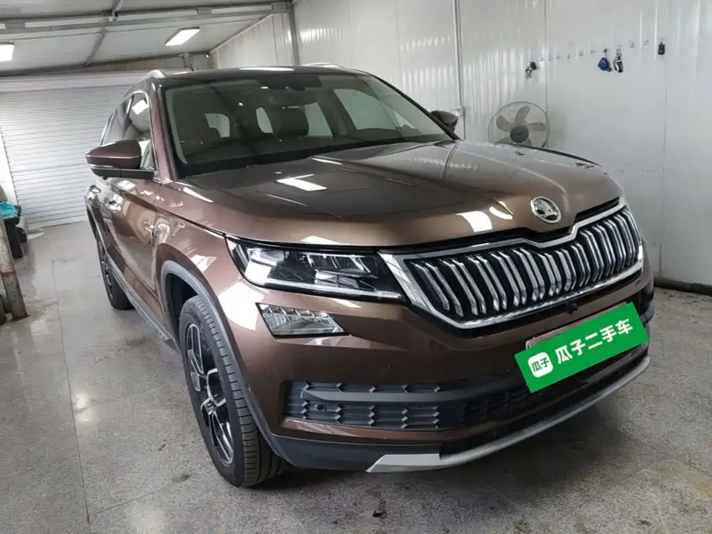 Skoda Kodiaq — фото 9