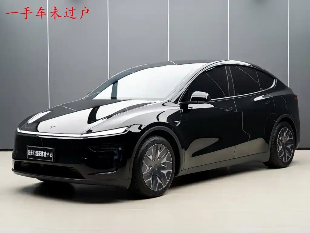 Tesla Model Y L — фото 1