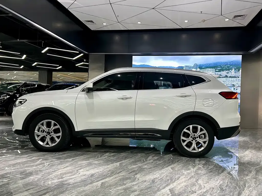 Haval H6 — фото 3