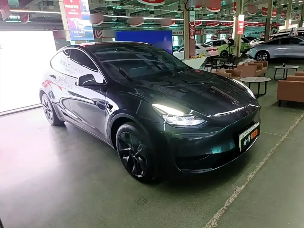 Tesla Model Y — фото 7