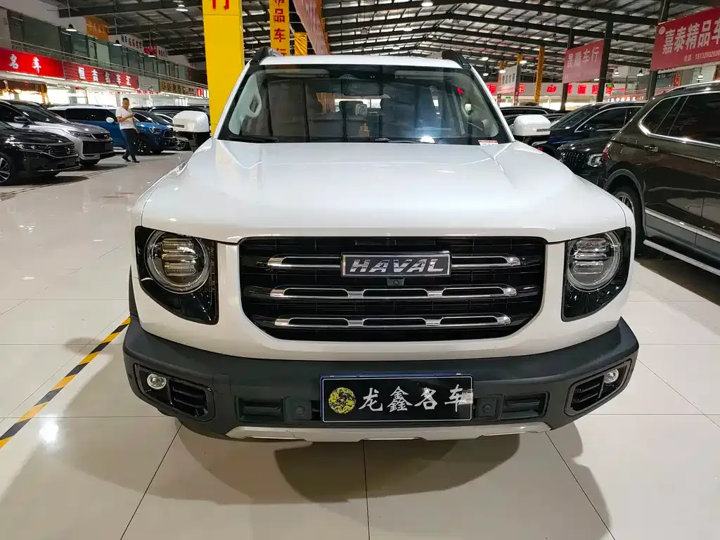 Haval Big Dog — фото 8